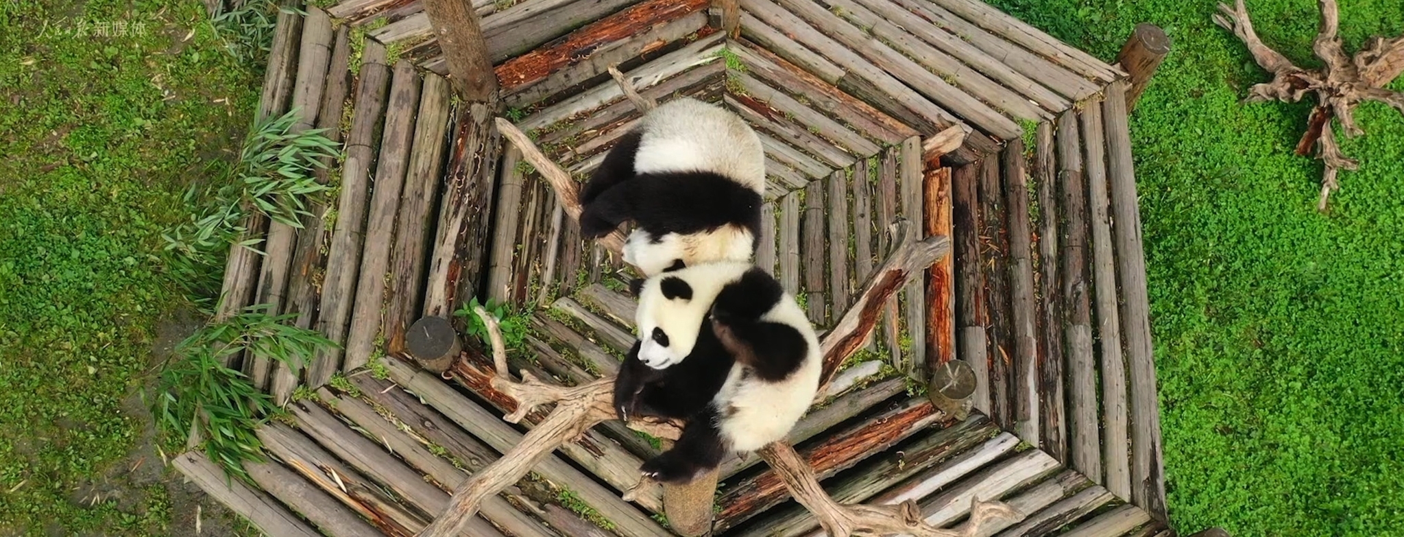 1690442449831397.png?x-oss-process=style/w10 a1.png?x-oss-process=style/w10