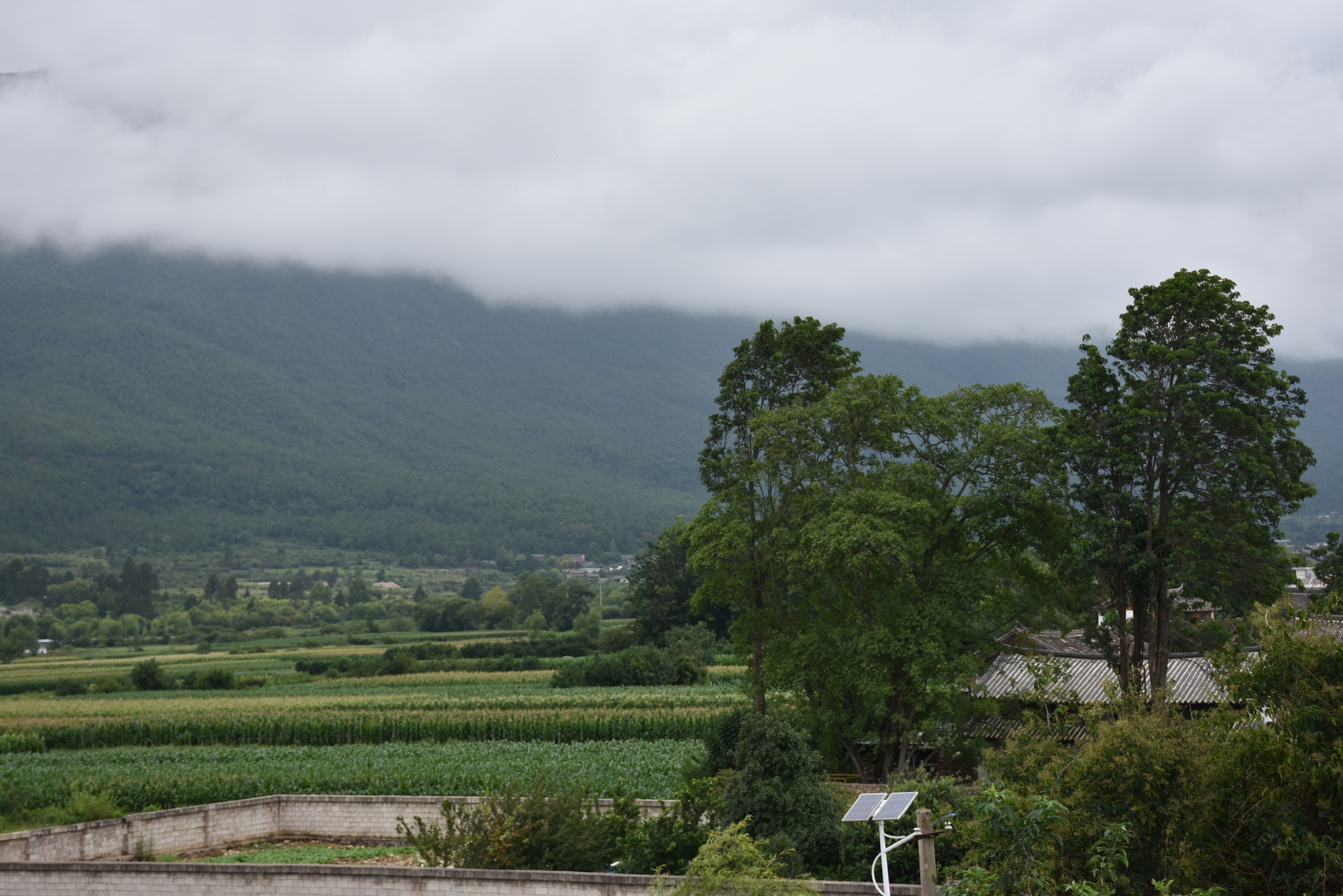 12793_f973fea9-ea2c-4f83-aca3-3d1593fbba8a