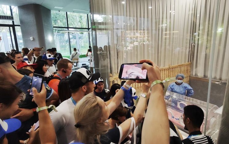 埋下青春友谊的种子 各国运动员探寻大运会“熊猫情缘” 埋下青春友谊的种子 各国运动员探寻大运会“熊猫情缘”