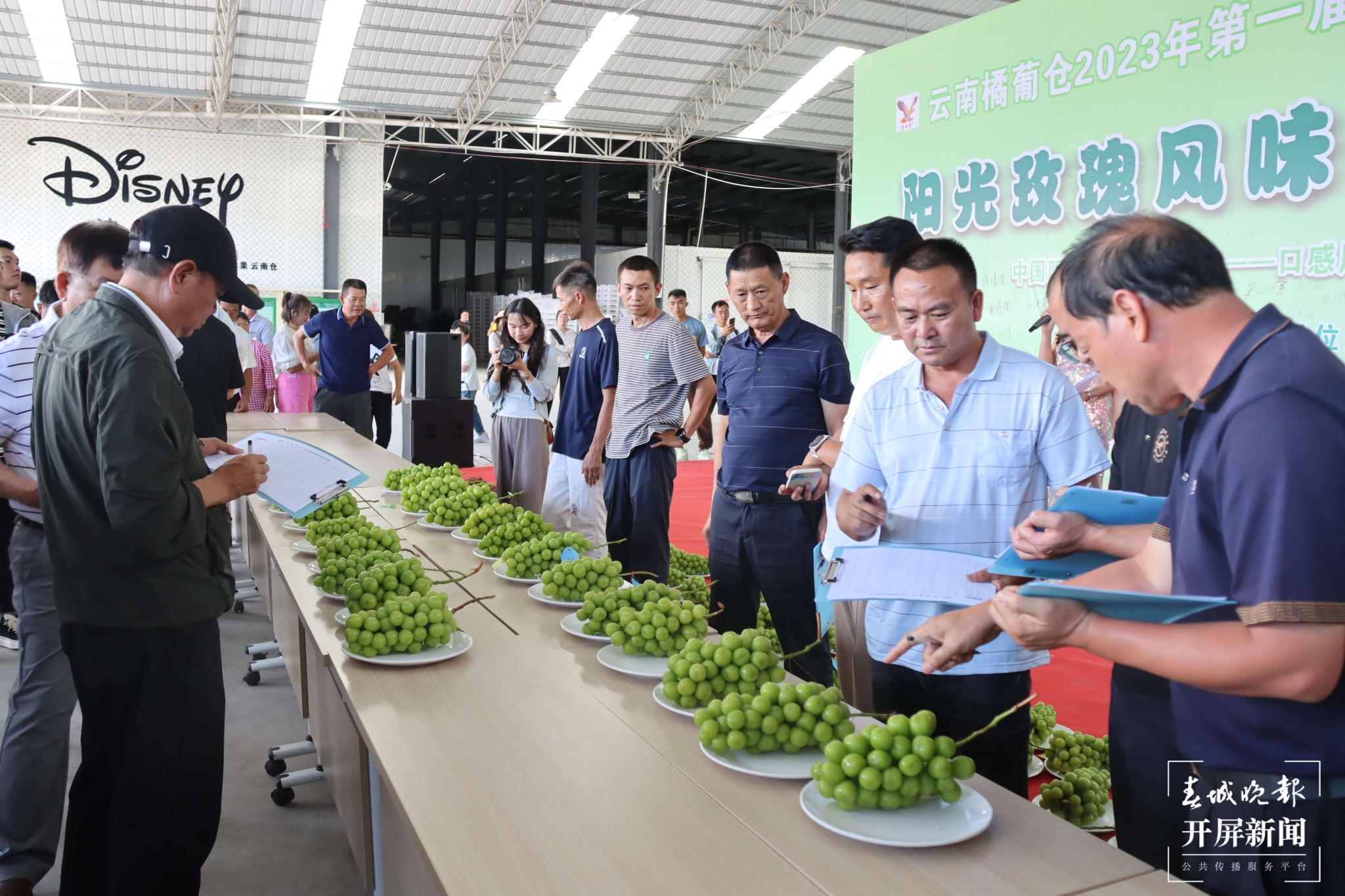(昆滇传内容)品评风味！大理宾川60位“葡萄种植达人”同台PK (6).JPG