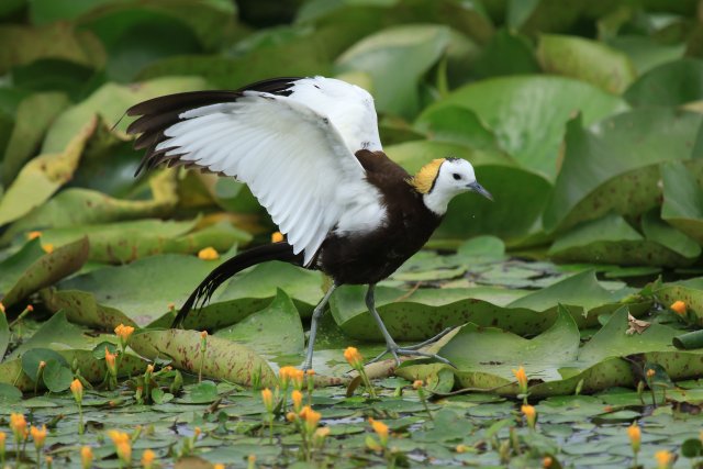 太阳很暖赵辉摄 (2).JPG