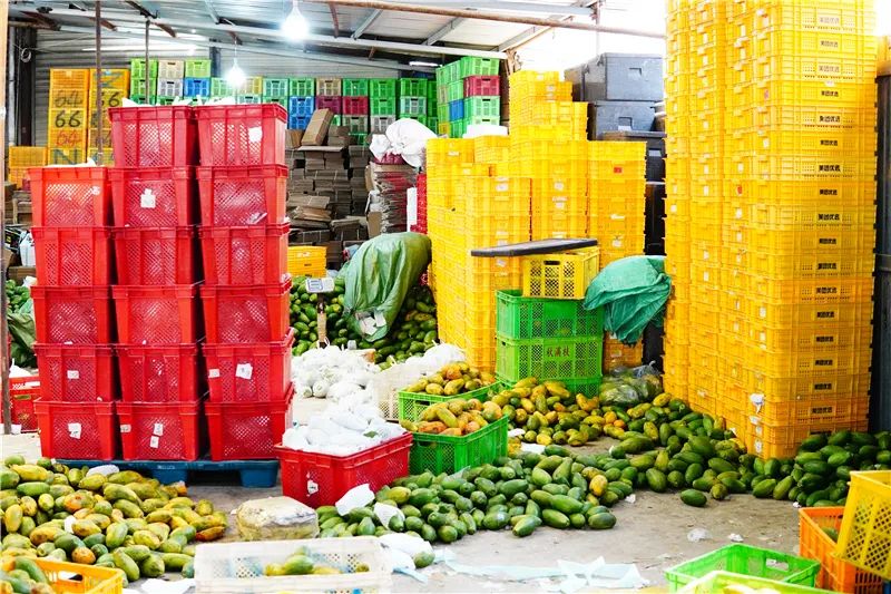 云南格道商贸有限公司水果仓库.JPG 图片