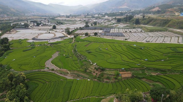 高山硒谷 (6).jpg