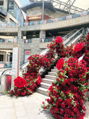 顺城购物中心的玫瑰花瀑布