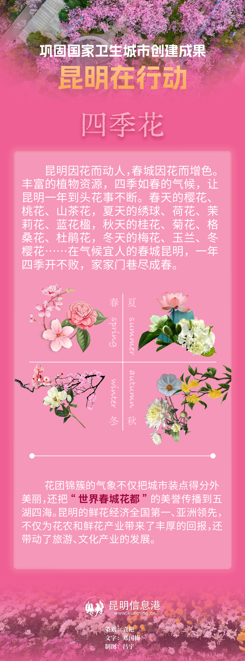 四季花