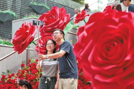 微信截图_20230823082320