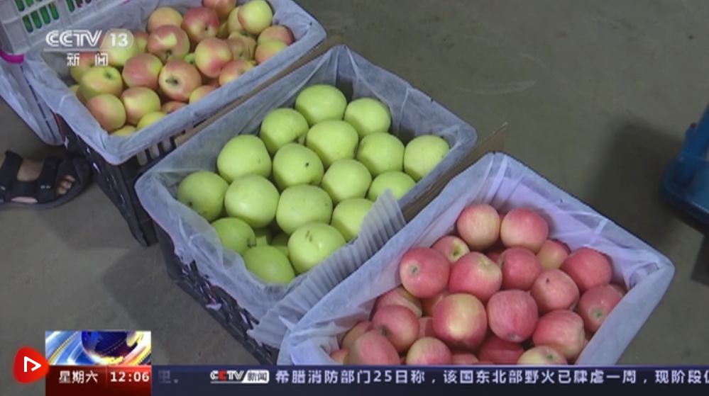 植物批发市场地点