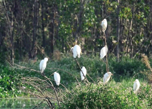 28841693933869848 28841693933869848