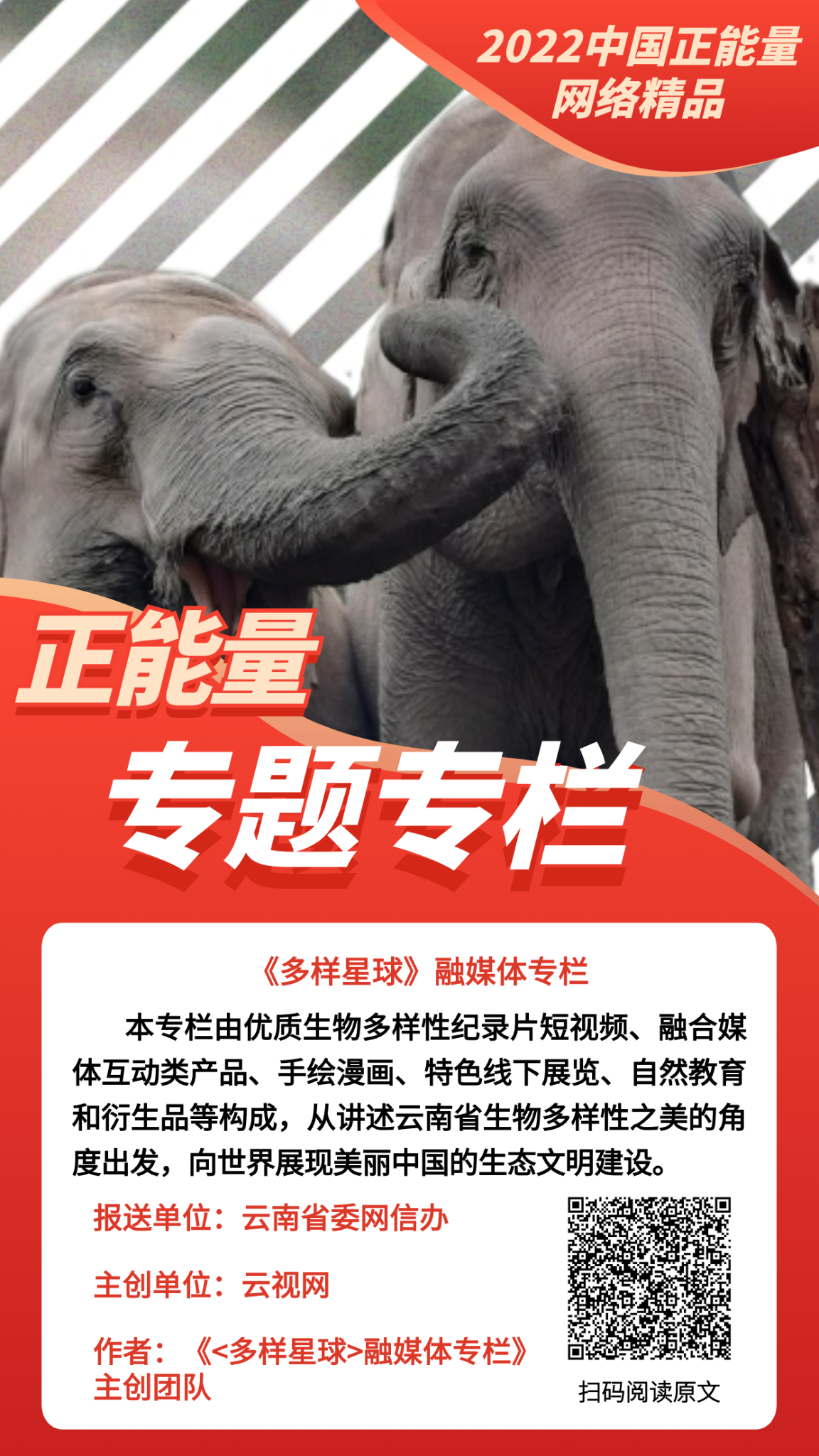 《多样星球》融媒体专栏