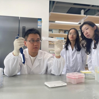 36f28fb51fa3436b9cb8cd6d3b164baa