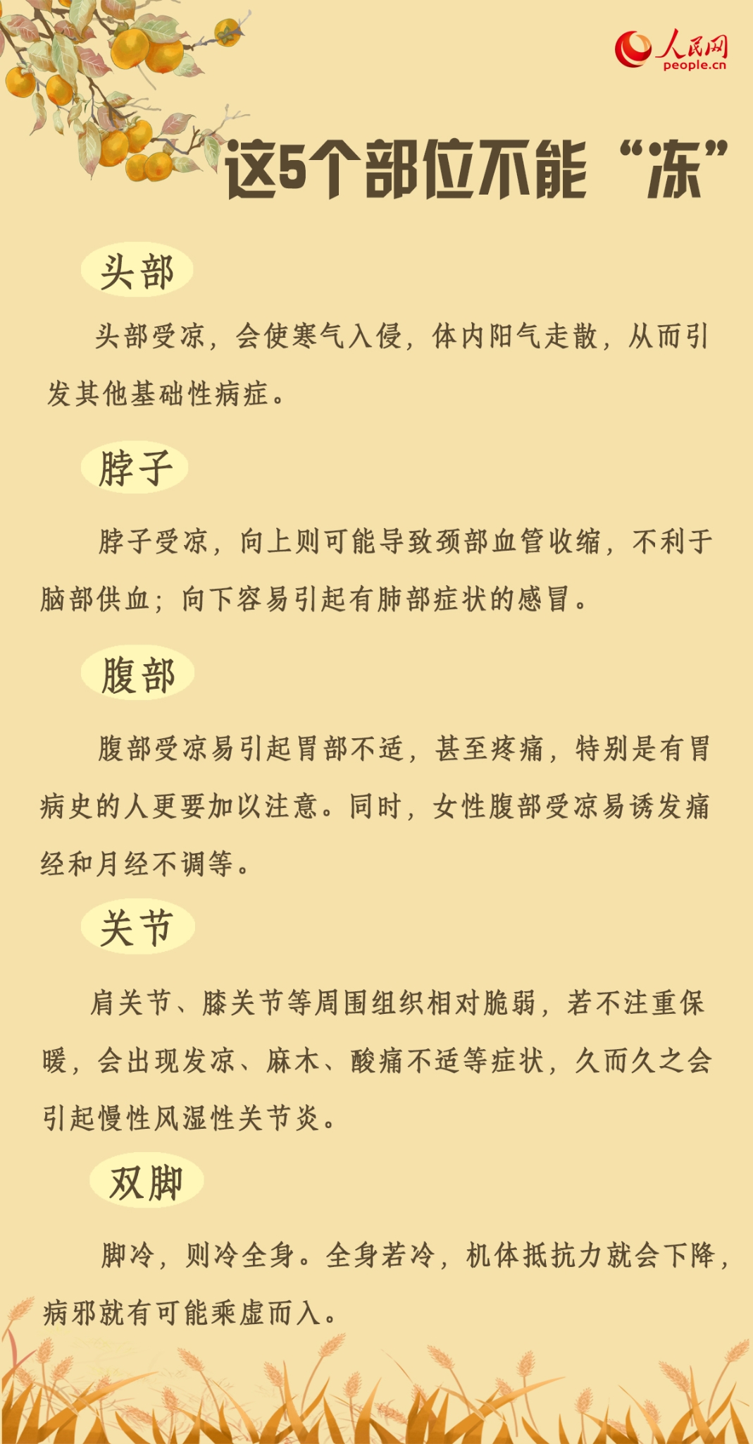 MAIN1695693364760X00SIV8C3S MAIN1695693364760X00SIV8C3S