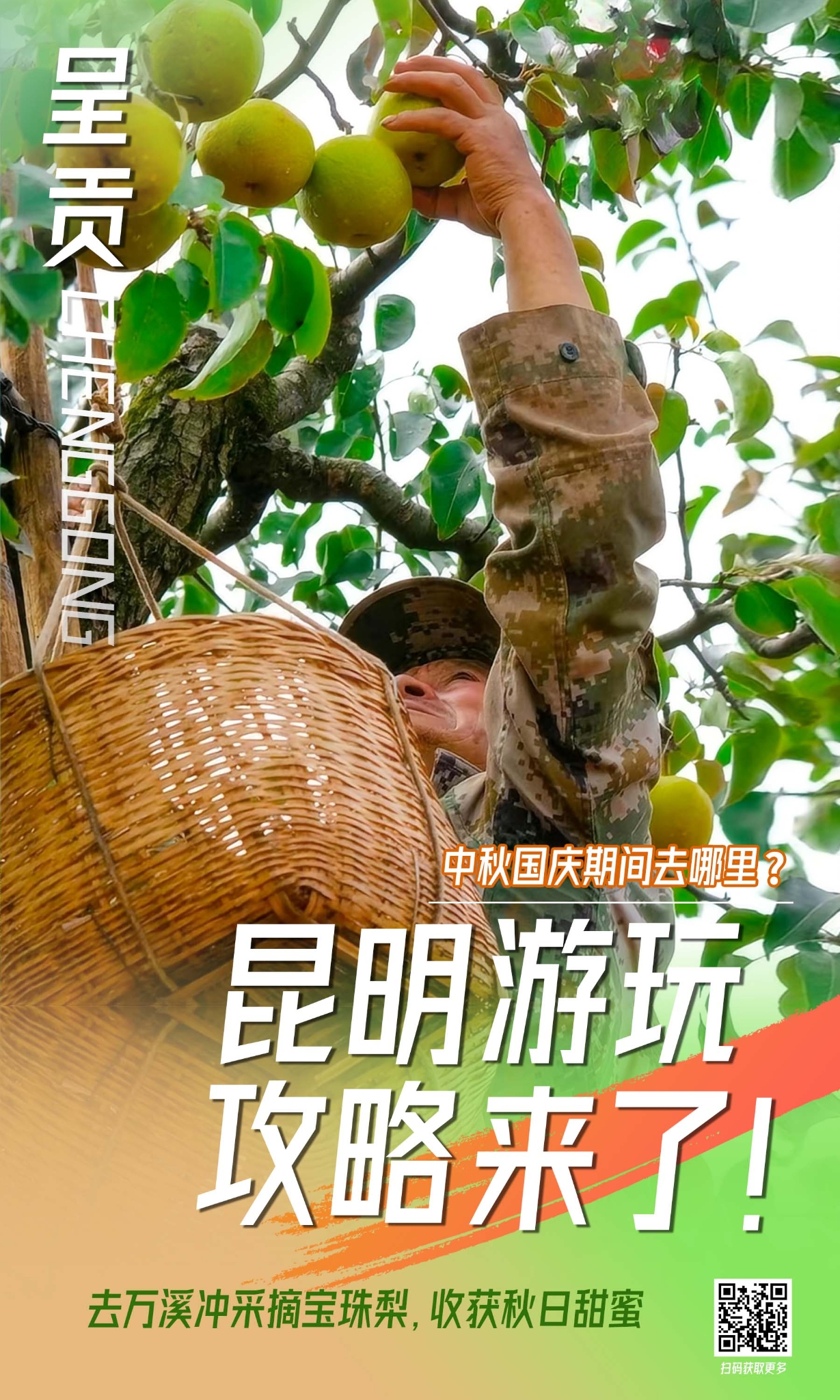 呈贡区 宝珠梨海报