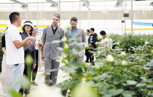 6981695845220233 6981695845220233