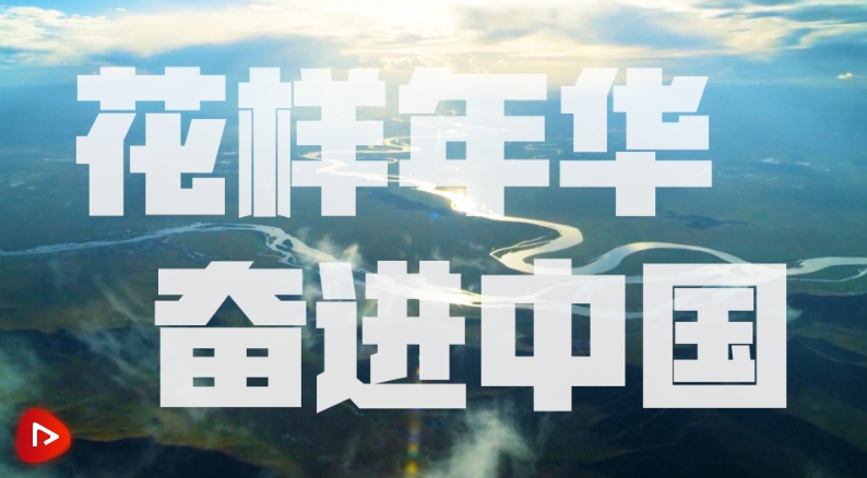 微信截图_20231003110859