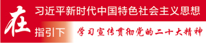 在习近平新时代中国特色社会主义思想指引下 在习近平新时代中国特色社会主义思想指引下