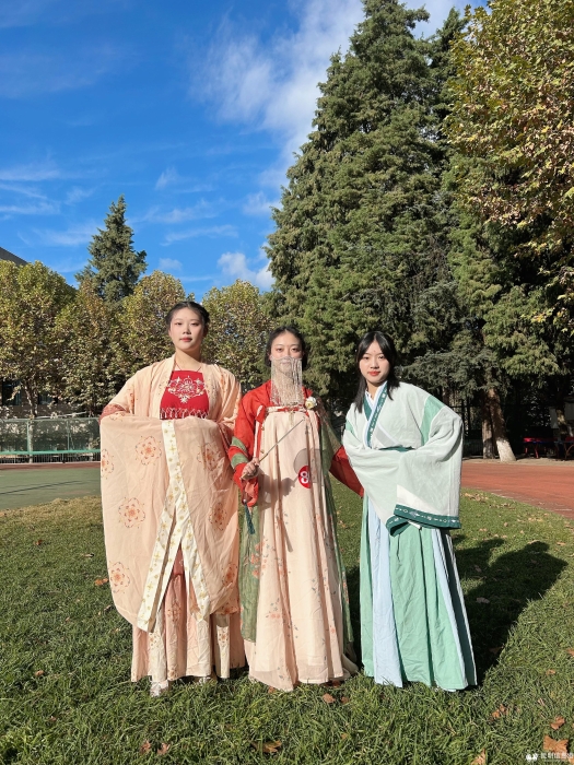 23921698579513_.pic_hd