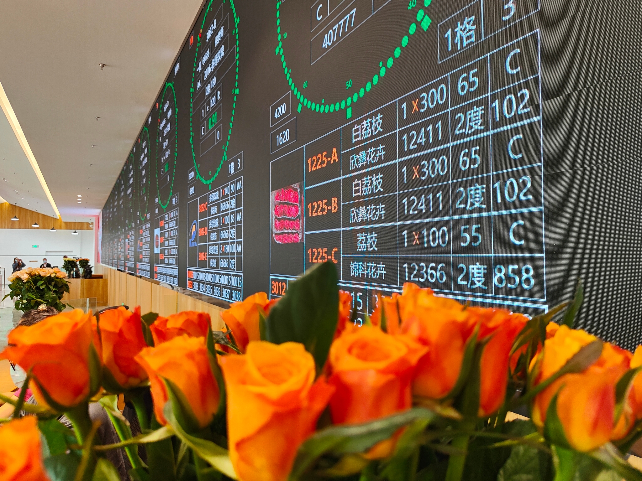 晋宁“花卉”这十年：走出“芬芳”致富路 (2)