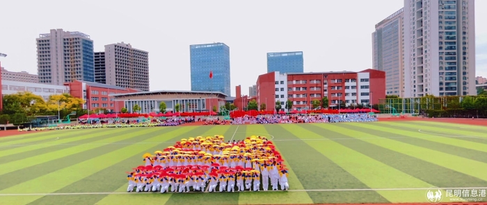 24481700119509_.pic_hd