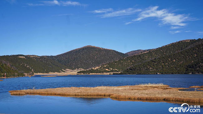 PHOTN5mjmWkhQ7itJDBZyKRz231118_1000x2000 PHOTN5mjmWkhQ7itJDBZyKRz231118_1000x2000