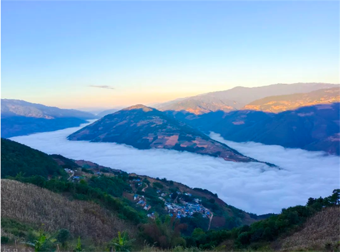 QQ截图202312031608291