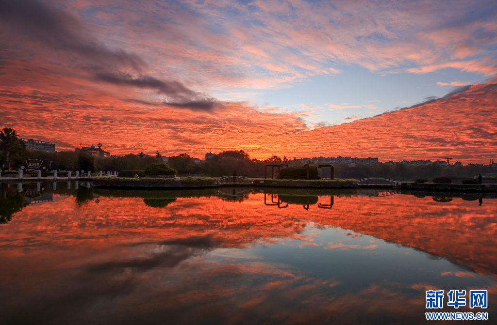 20231208137ea81c760c4bc5b39cbce0d5b7c155_202312086183a86babc847a5a71c73afb2d3b421