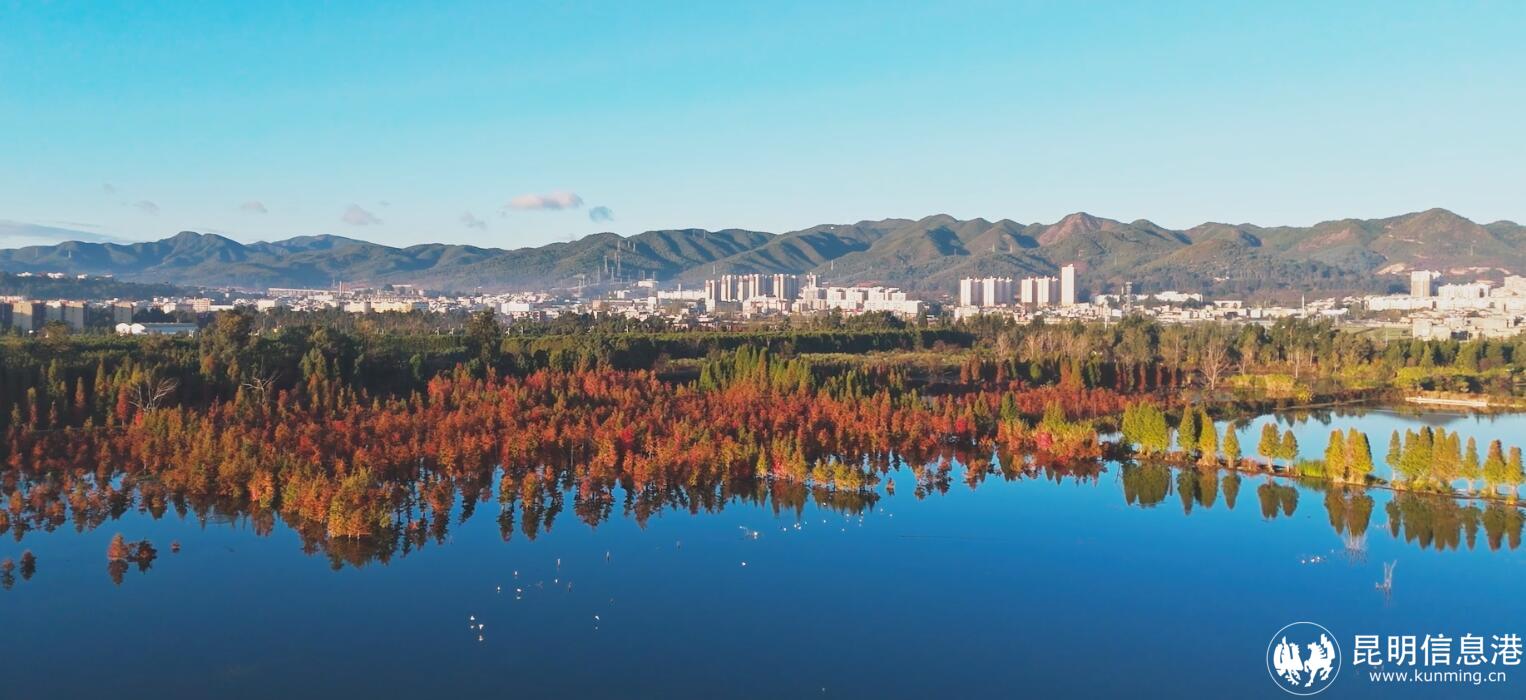 QQ截图20231214104846