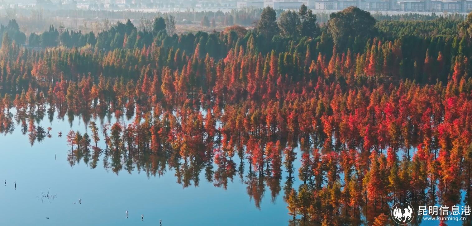 QQ截图20231214104915