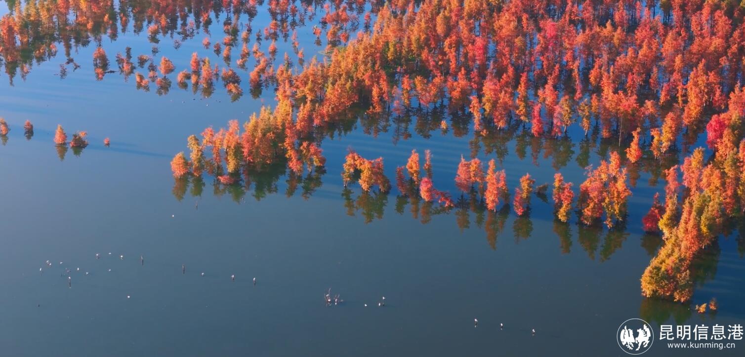 QQ截图20231214104902