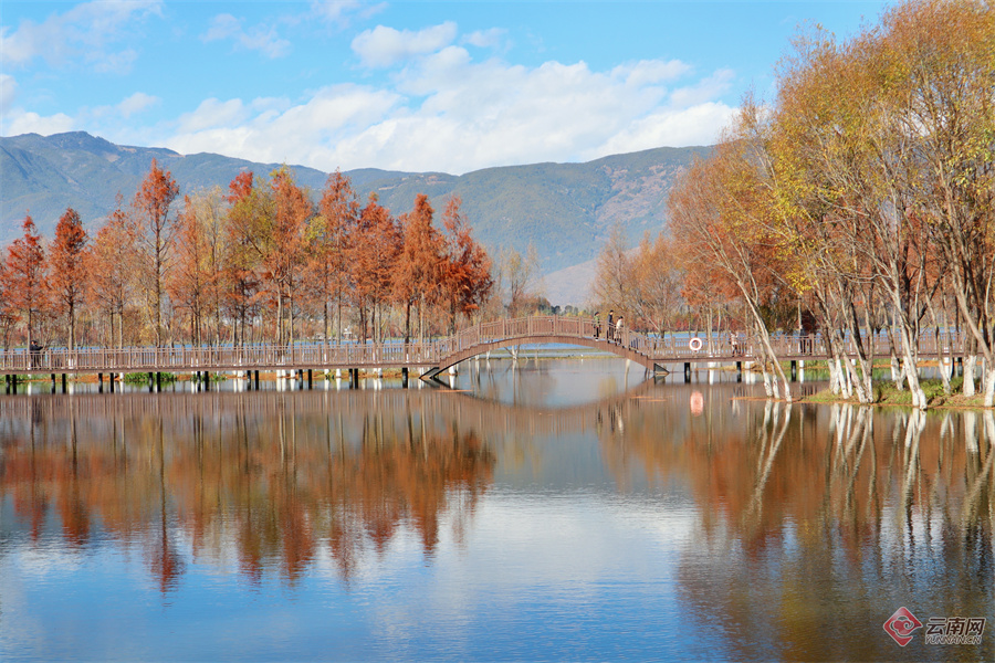 云南洱源:层林尽染茈碧湖_昆明信息港