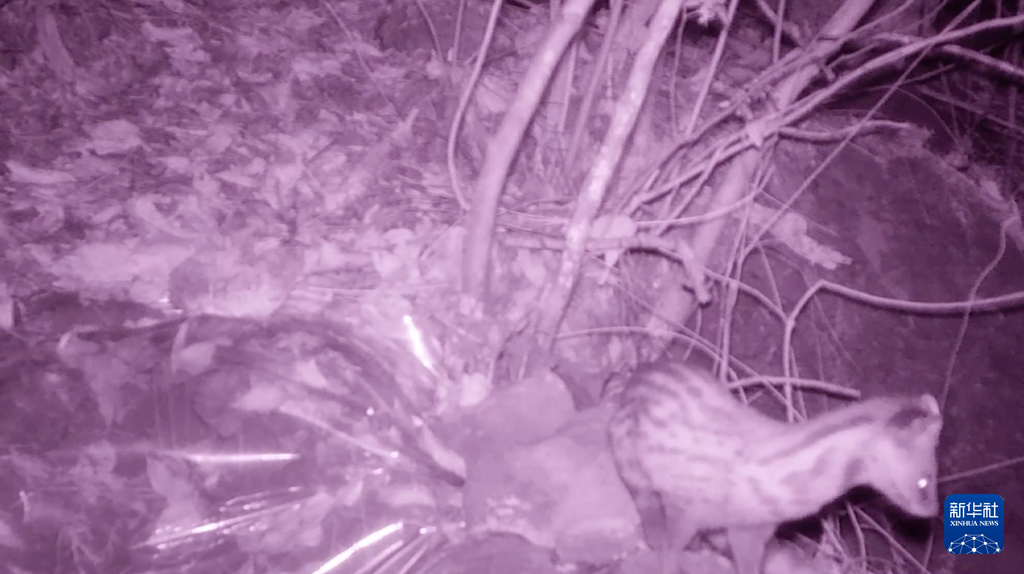 20231228559819b36b5b42618f08f5ebd5c68d08_202312288adc69095f524d8e8237cda06700d8d8