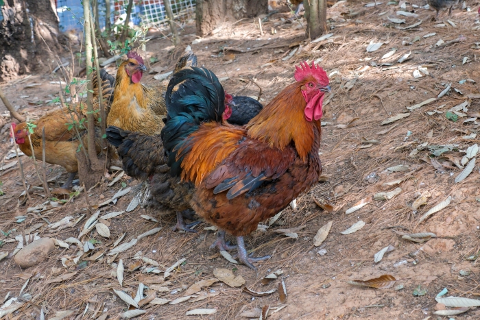 微信图片_20240113145543 微信图片_20240113145543