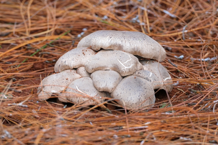 微信图片_20240113150540 微信图片_20240113150540