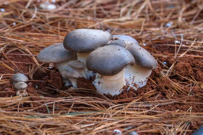 微信图片_20240113151048 微信图片_20240113151048