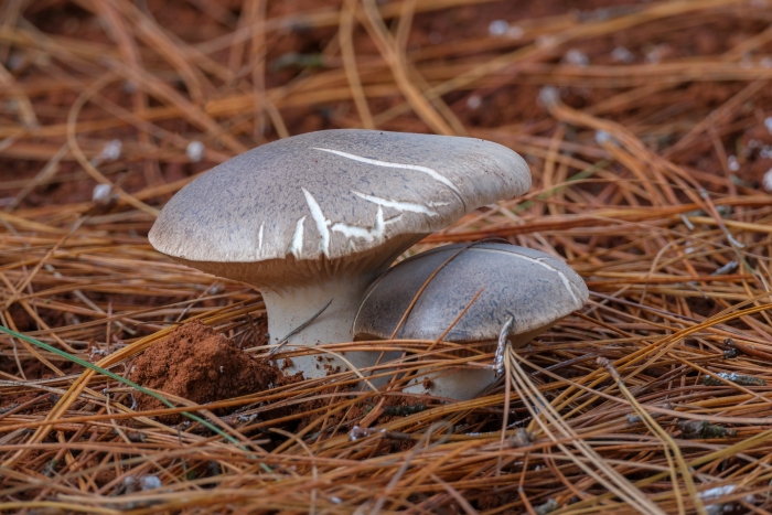 微信图片_20240113151434 微信图片_20240113151434