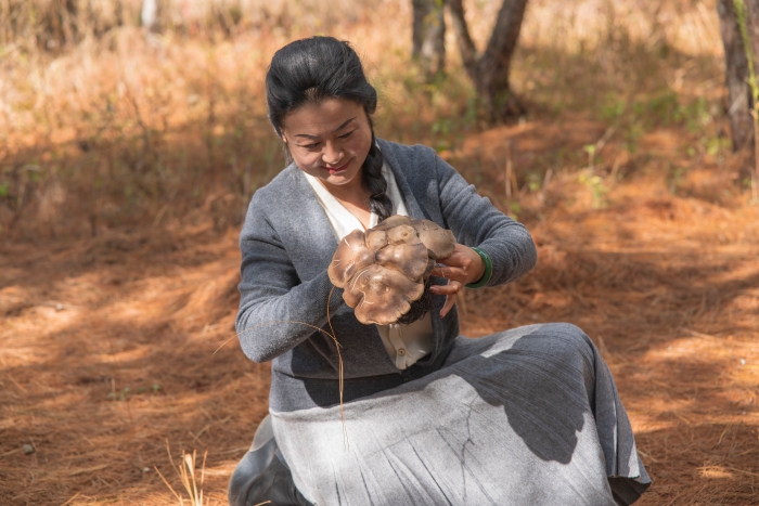 微信图片_20240113151442 微信图片_20240113151442