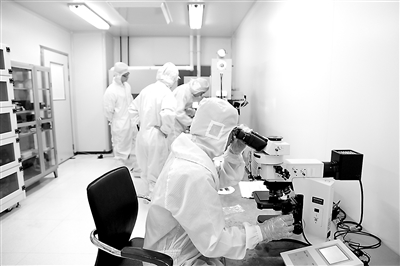 P020240115306445594430 P020240115306445594430