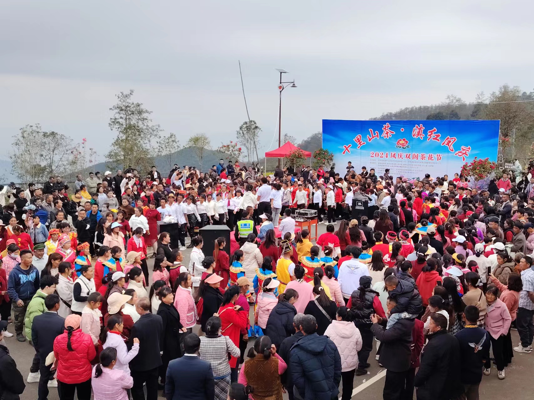 凤庆县洛党镇:石洞寺双阁茶花节正式开幕   2月11日