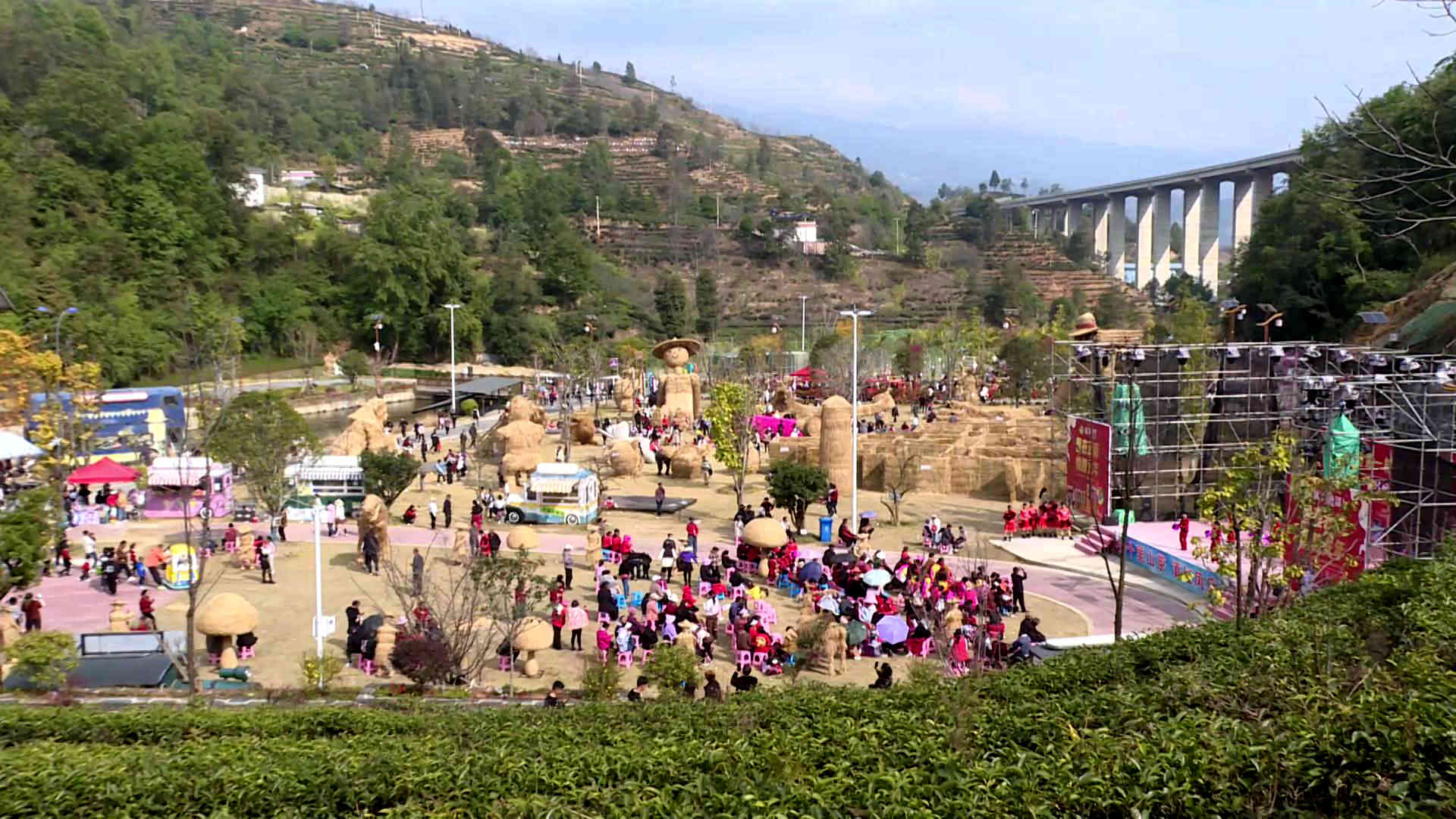 大年初一,4a级景区"中国滇红第一村"凤庆县凤山镇安石村的茶花谷景区