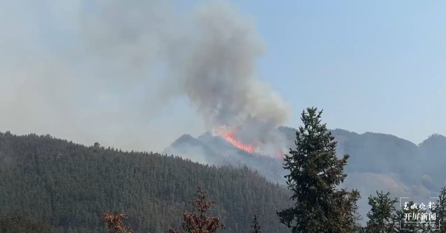 【采访传编辑】云南森林消防连夜赶往广西增援灭火 广西3地山火已灭！百色乐业幼平乡山火仍在紧张扑救！
