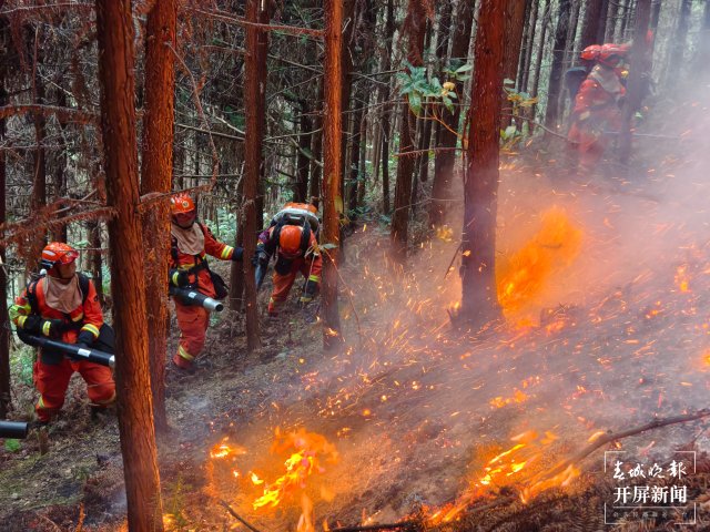 【采访传编辑】云南森林消防连夜赶往广西增援灭火 广西3地山火已灭！百色乐业幼平乡山火仍在紧张扑救！