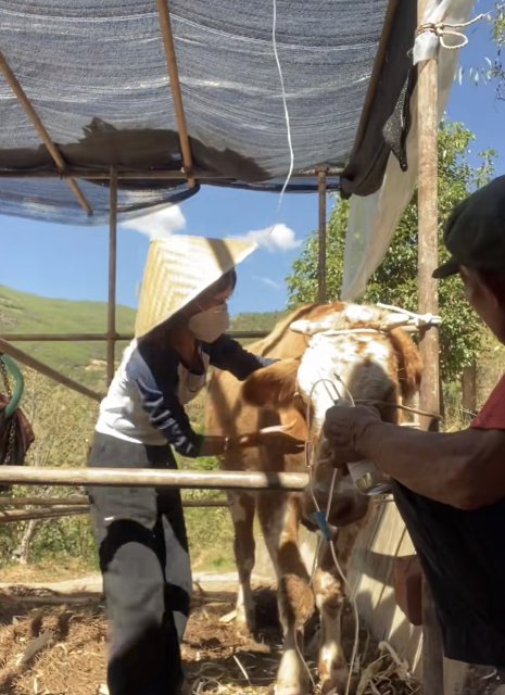 云龙00后兽医-马雯-受访者供图 (1).jpg