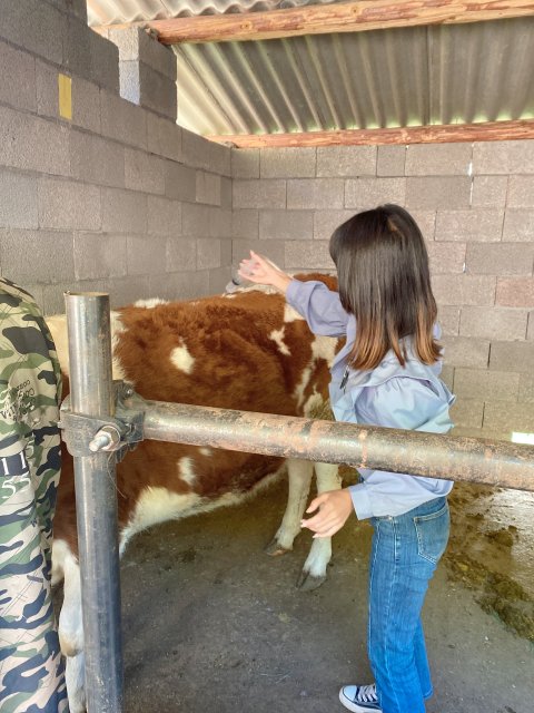 云龙00后兽医-马雯-受访者供图 (2).jpg