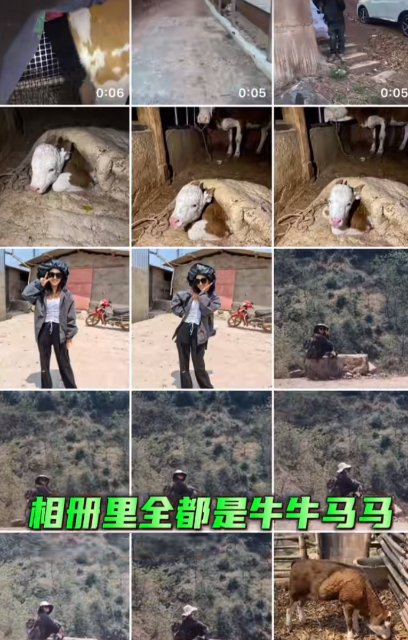 云龙00后兽医-马雯-受访者供图 (5).jpg