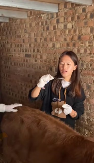 云龙00后兽医-马雯-受访者供图 (6).jpg