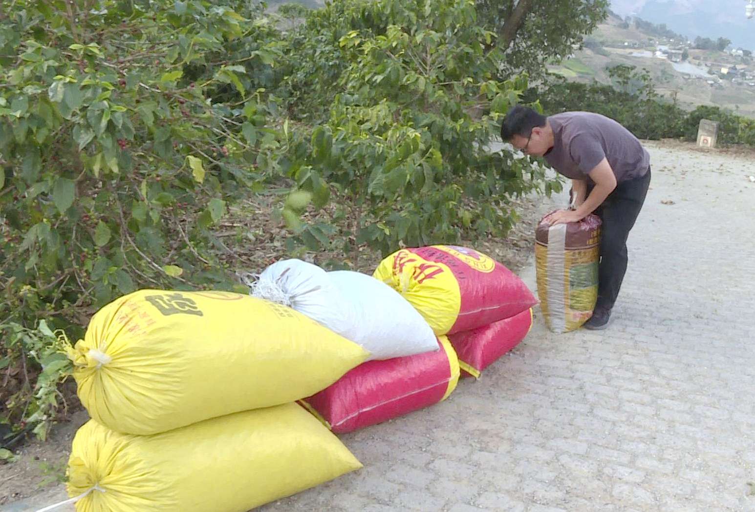 试飞成功!这个惠农“新帮手” 省时!省力!