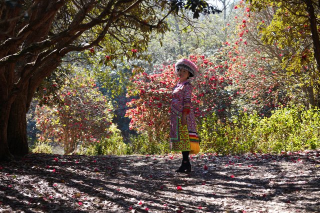 当地群众到利东山踏春赏花 刘子安摄 (2).JPG