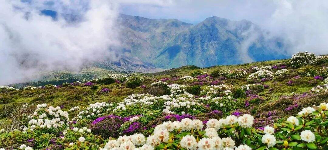 来东川牯牛山看云海,一眼万年!_昆明信息港