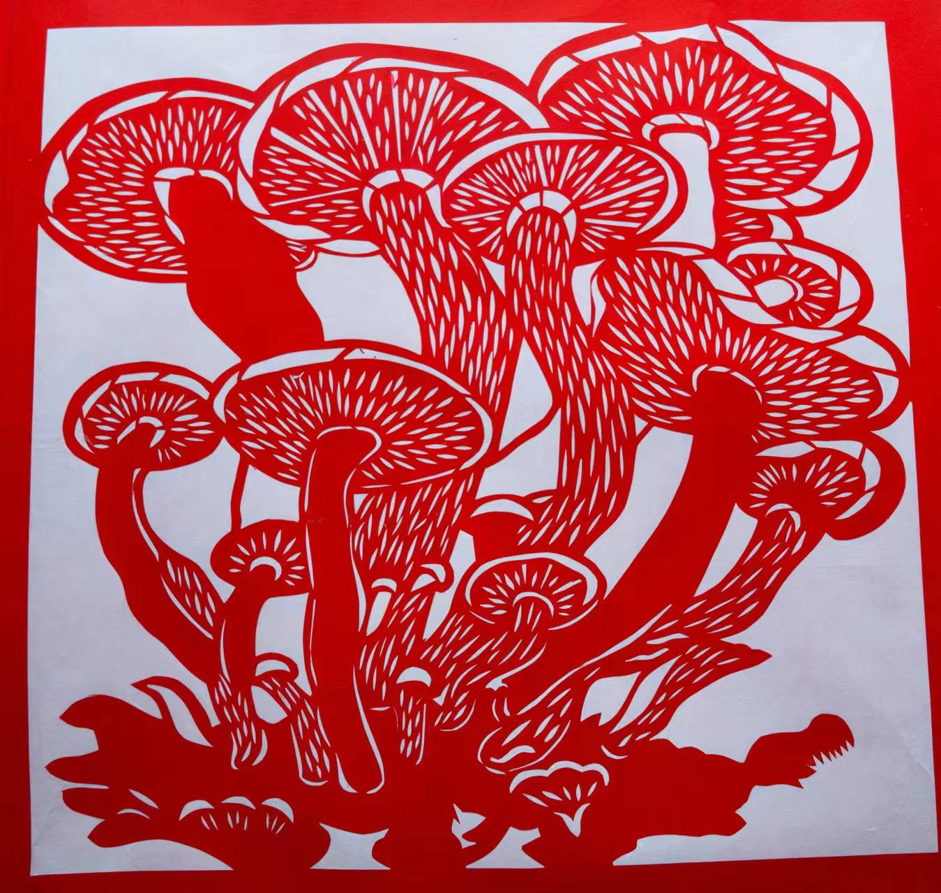 1709992041266987.jpg WechatIMG926.jpg