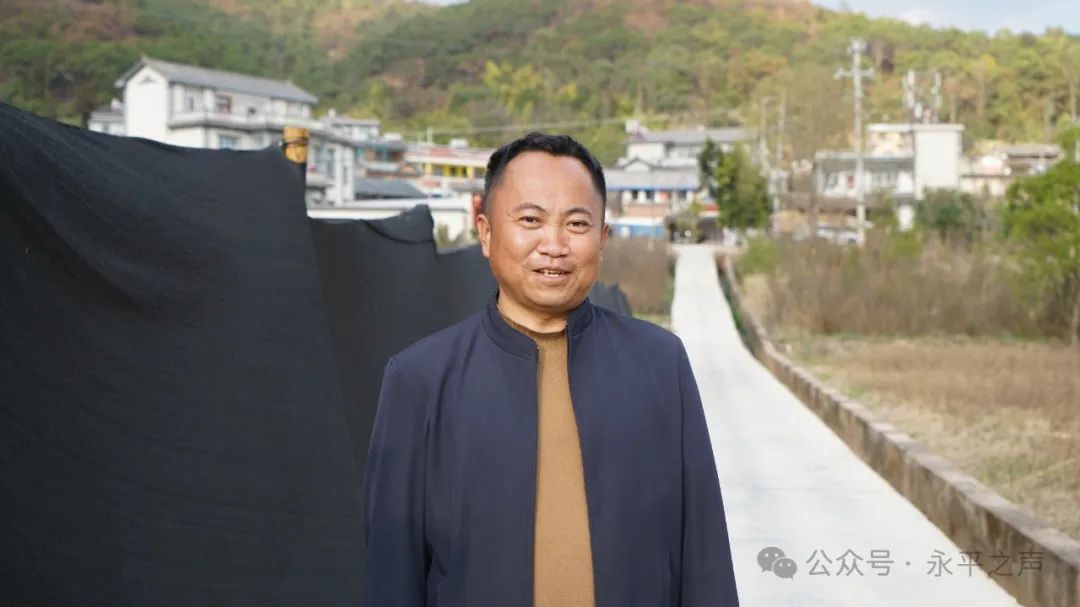 杨肖田算得上是永平县种植羊肚菌的致富带头人,在2016年7月,采用"党