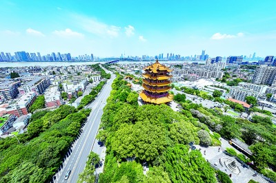 在巩固文化主体性中增强文化自信 在巩固文化主体性中增强文化自信